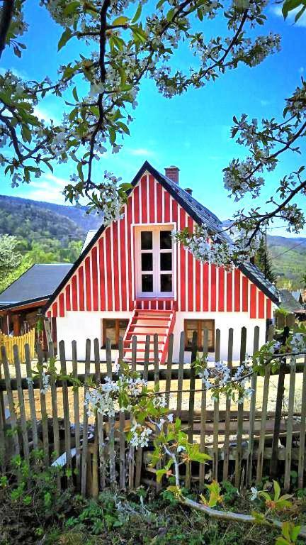 Apartmán u Potoka Weissbach Exterior foto